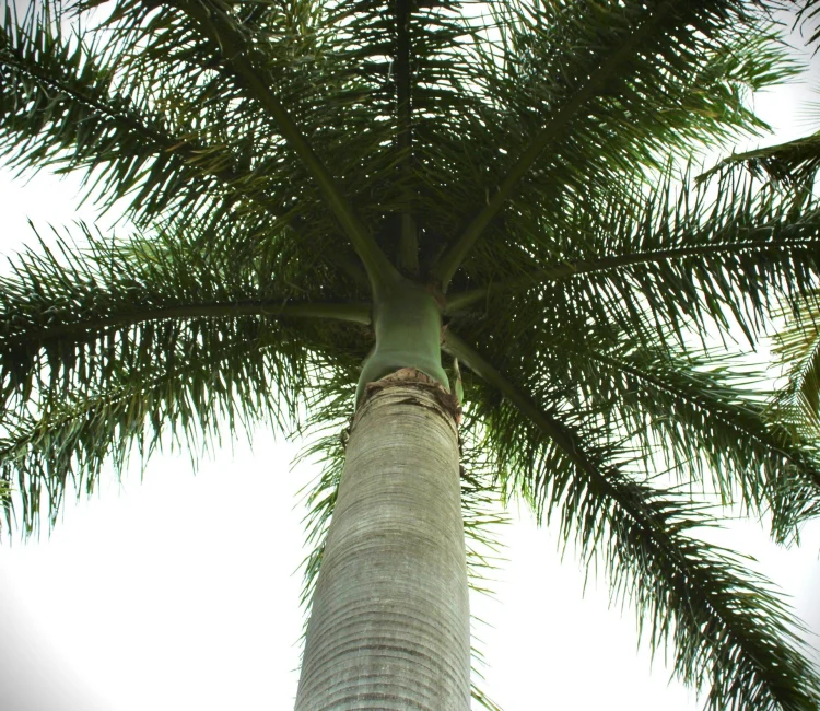 unsplash-image-CaHqBoN6u0Y