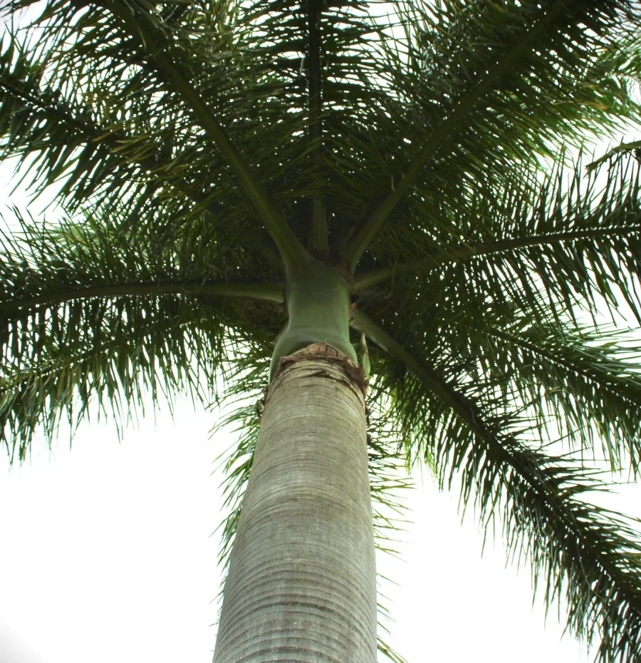 unsplash-image-CaHqBoN6u0Y